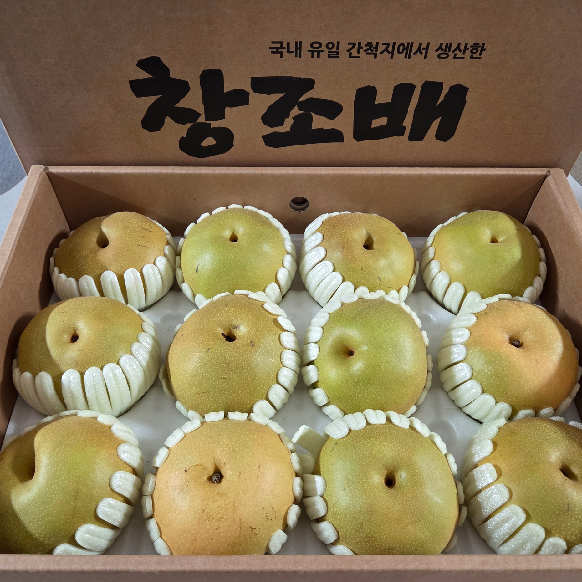 [정품인증] 선물세트 해남 창조배 한박스 7.5kg내외(특대과/대과/중대과)