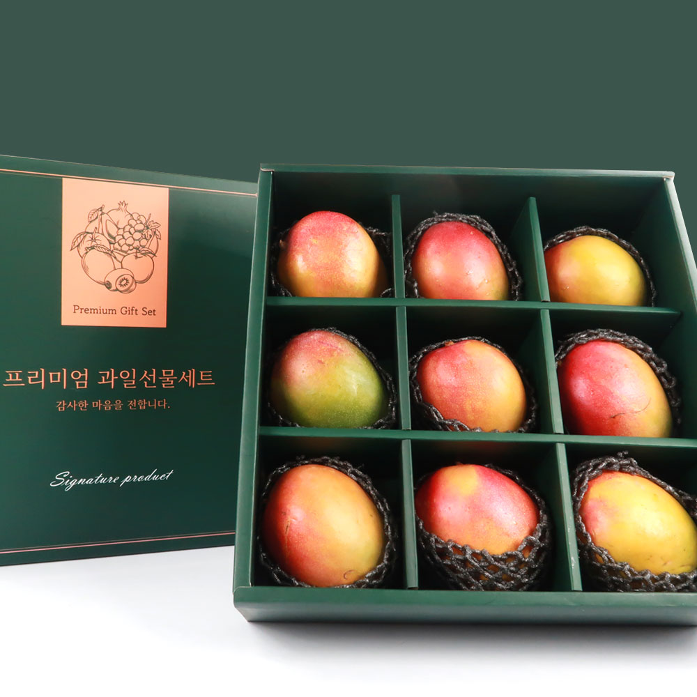 프리미엄 애플망고 대과 9입 선물세트 3.6kg이상 