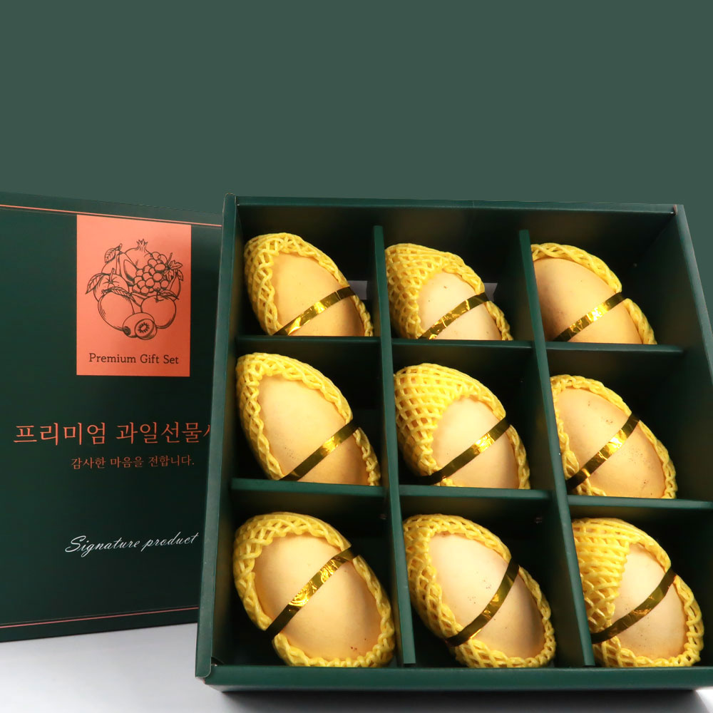 프리미엄 골드망고 대과 9입 선물세트 3.2kg이상 