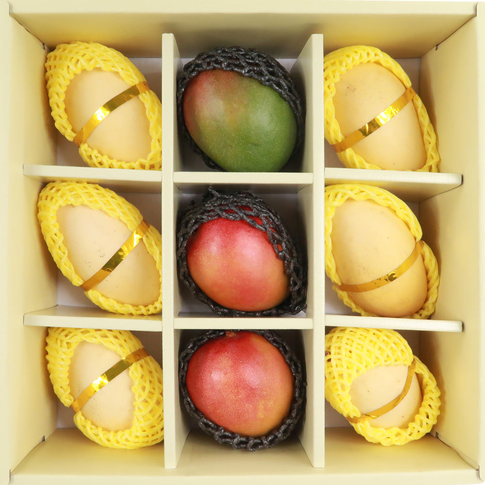 프리미엄 골드망고 6입 & 애플망고 3입 선물세트 3.3kg이상 