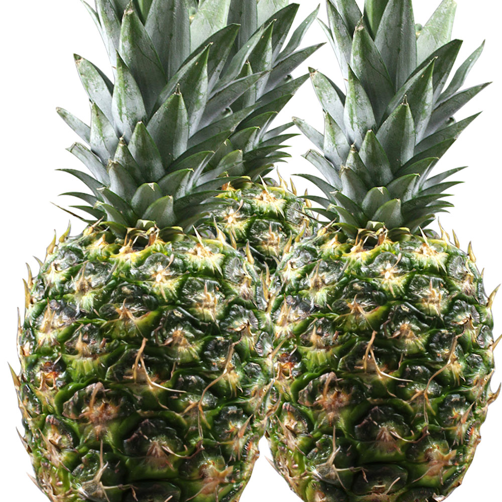 고당도 골드 파인애플 특대과