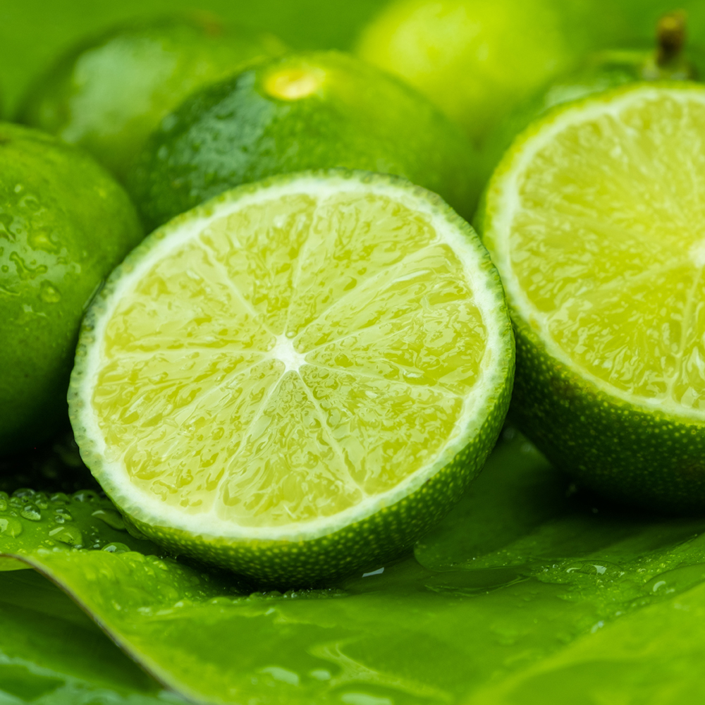 팬시 생 라임 중대과