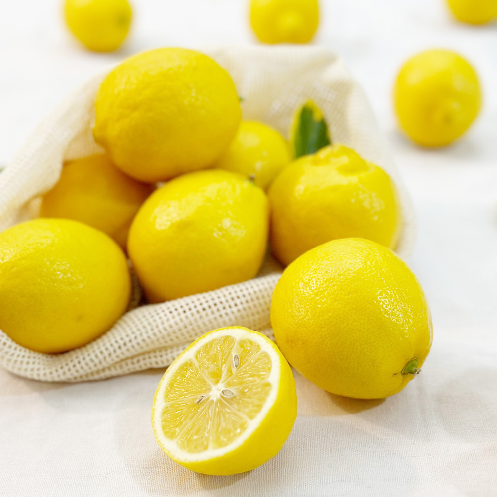 팬시 레몬 중과