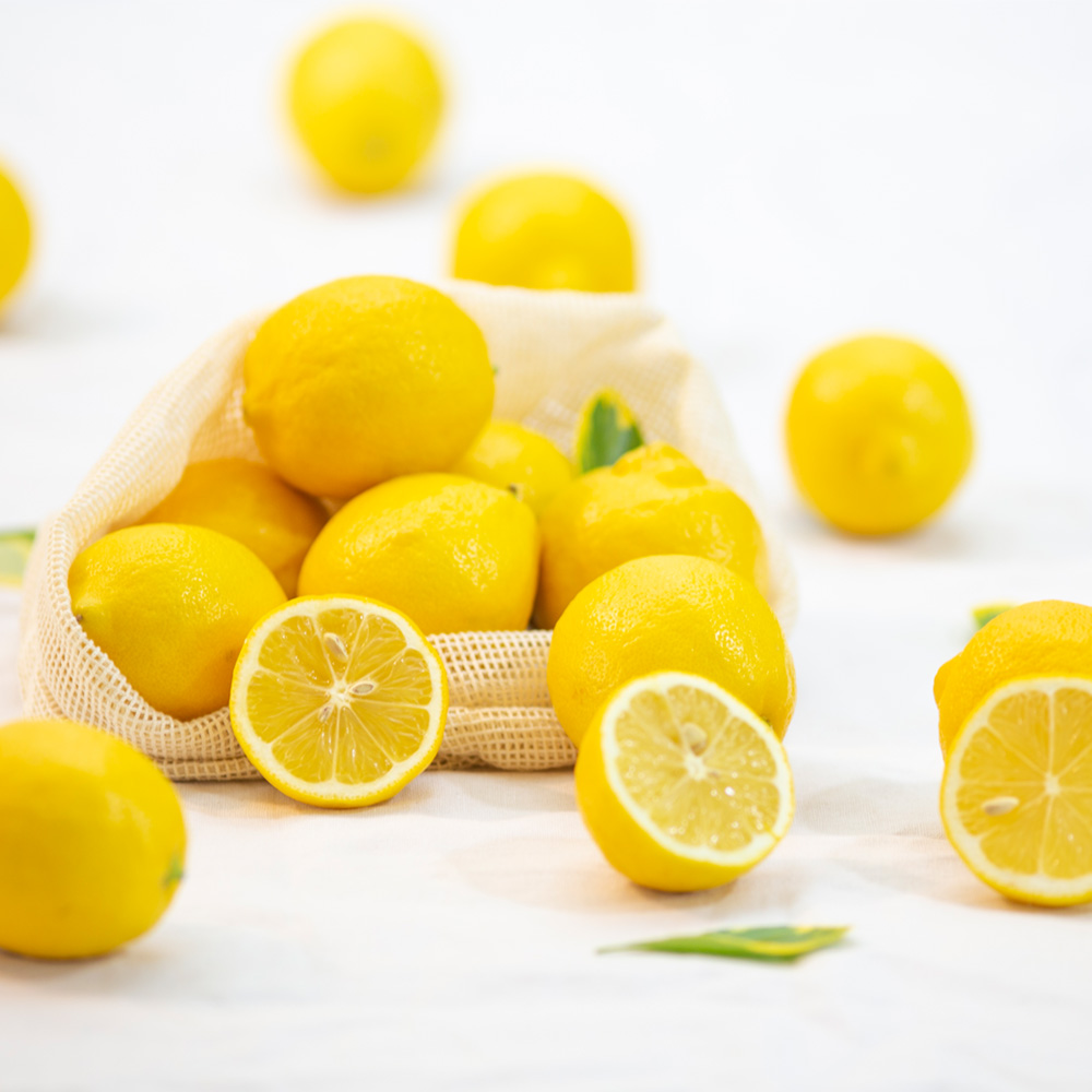 팬시 레몬 대과