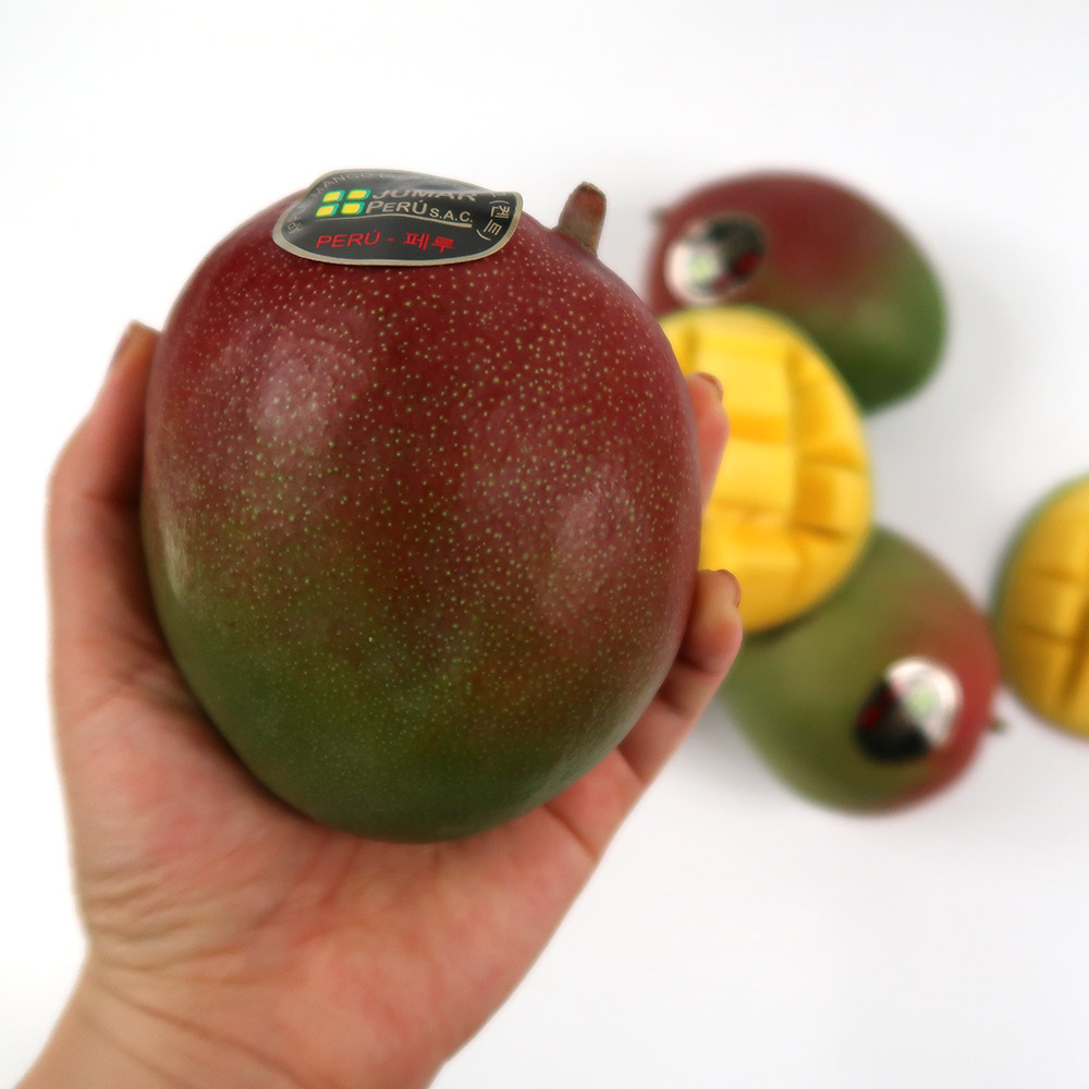 페루 고당도 애플망고 중과