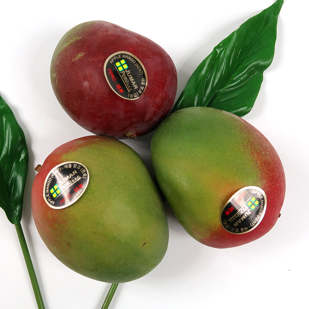 페루 고당도 애플망고 대과