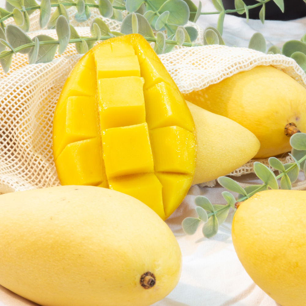 항공직송 태국 고당도 골드망고 남독마이 특대과