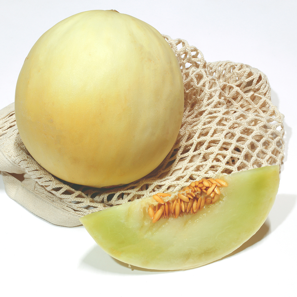 고당도 허니듀 멜론 대과