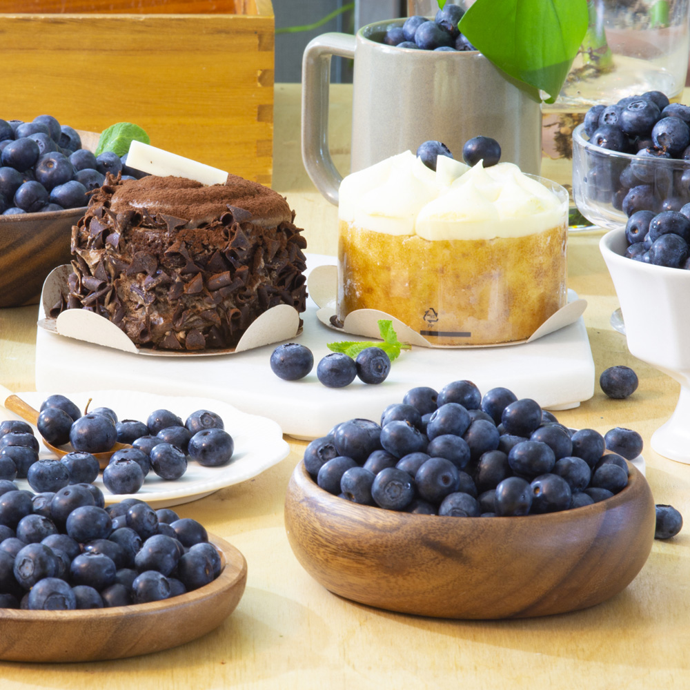 고당도 생 블루베리 중대과 14-16mm