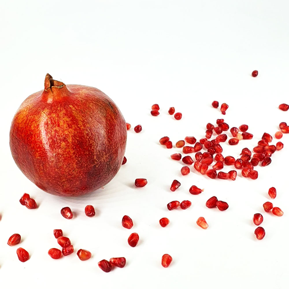 팬시 생 석류 특대과