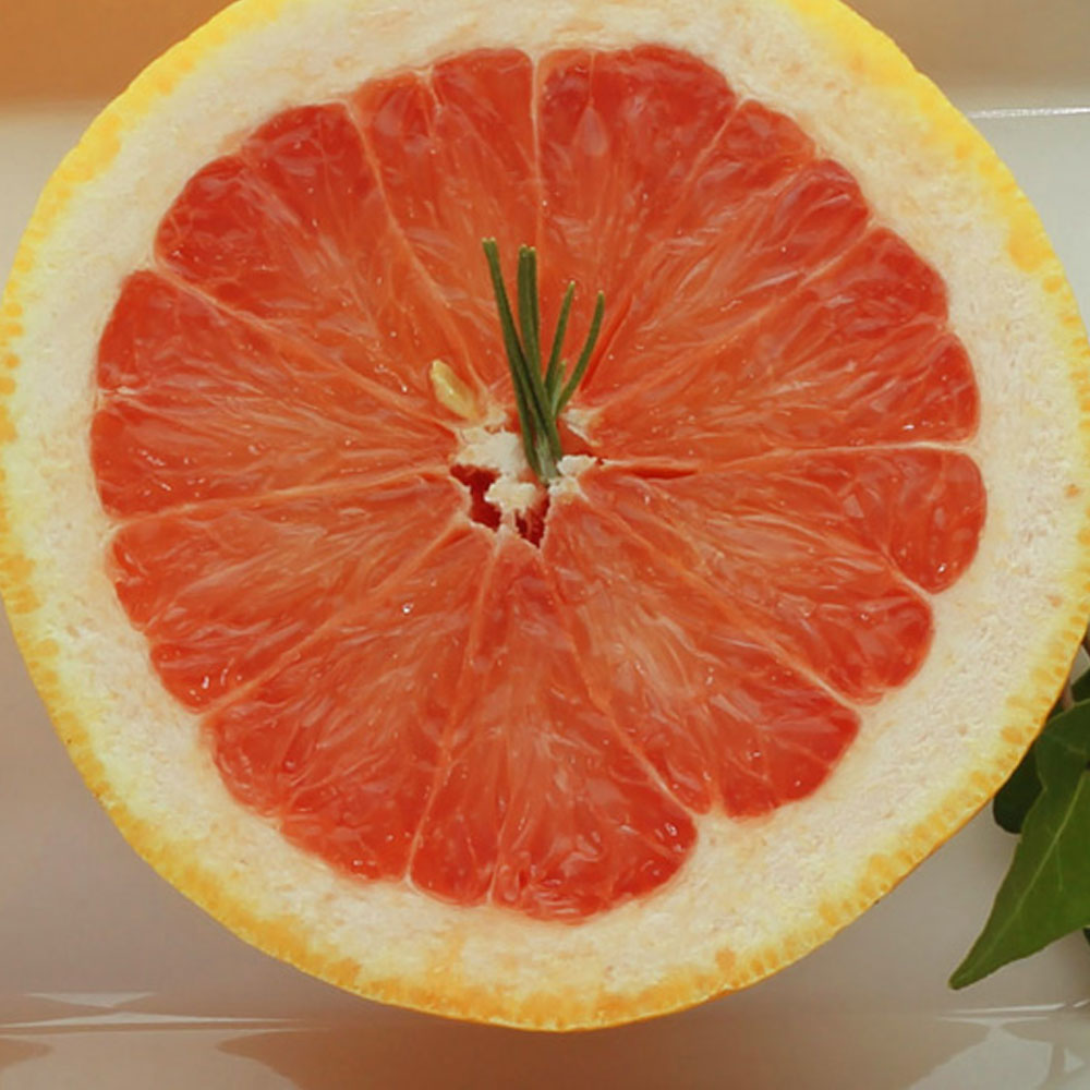 실속형 못난이 미국 레드 자몽