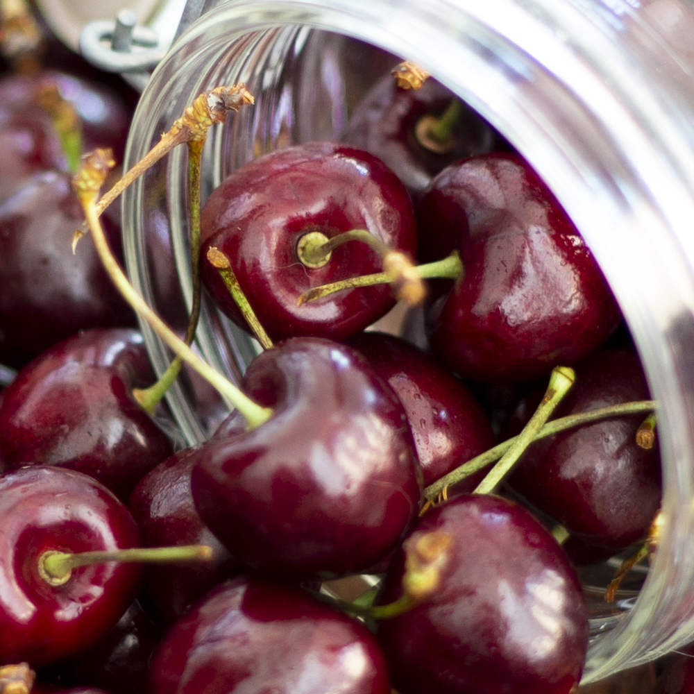 고당도 생 체리 점보과 9R