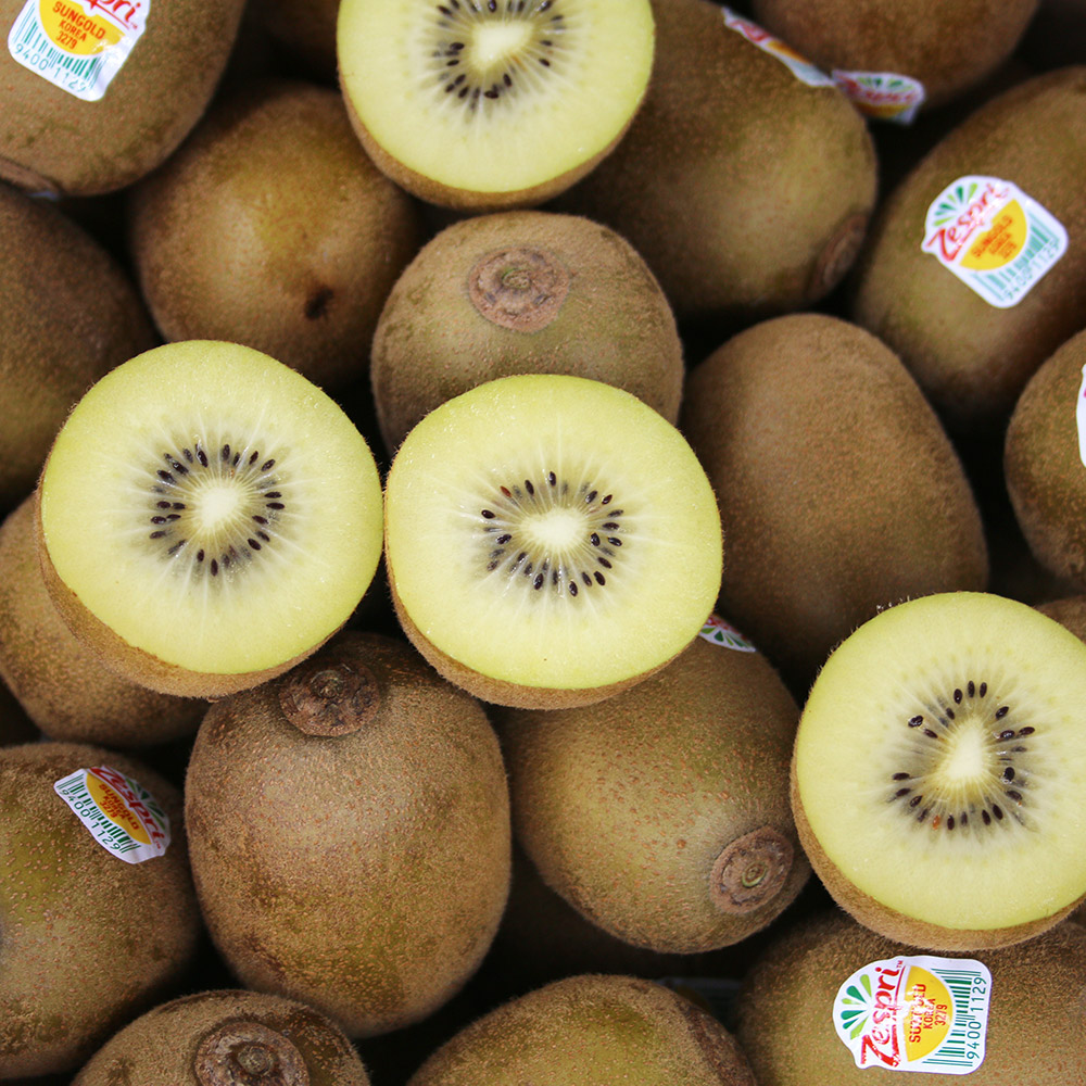 제주 고당도 제스프리 썬 골드키위 중대과