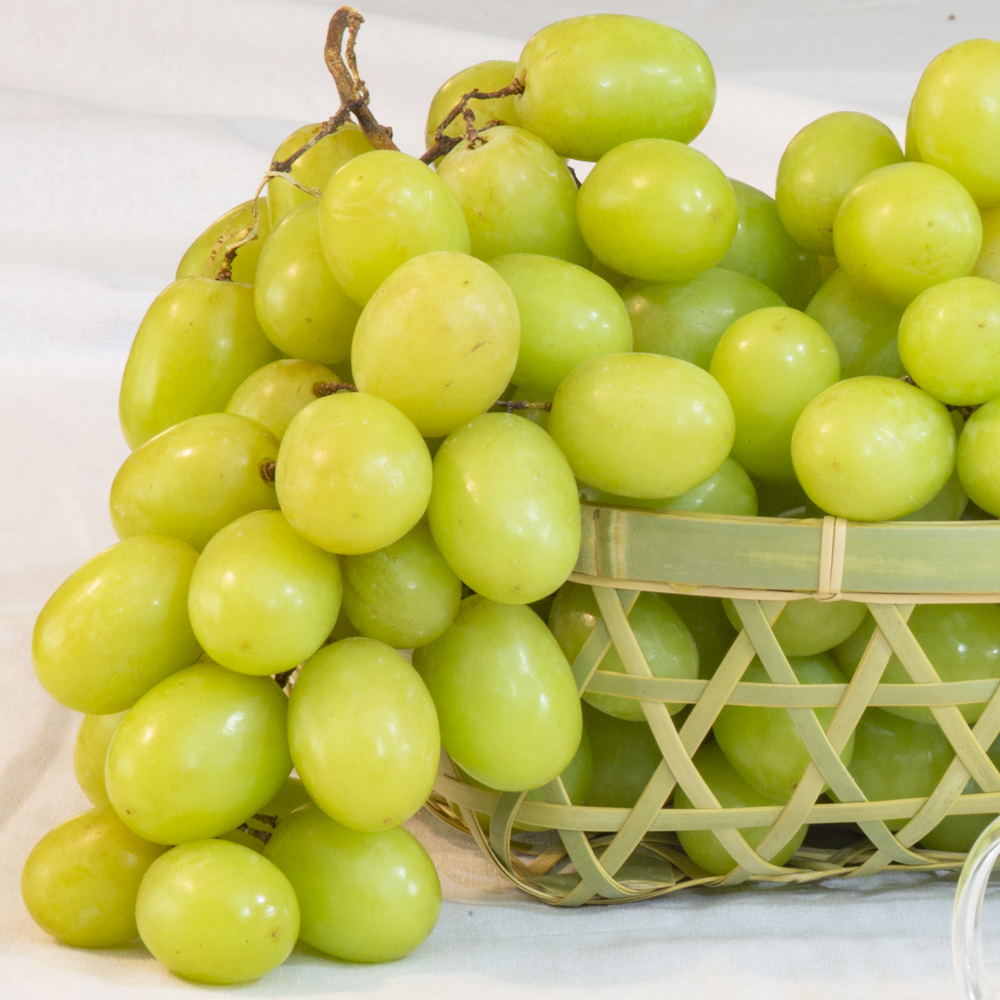 고당도 오톰크리스피 애플청포도