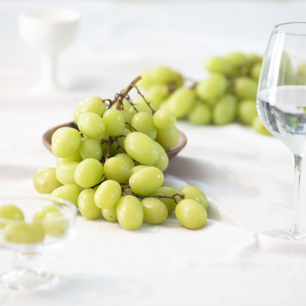 씨없는 고당도 애플청포도